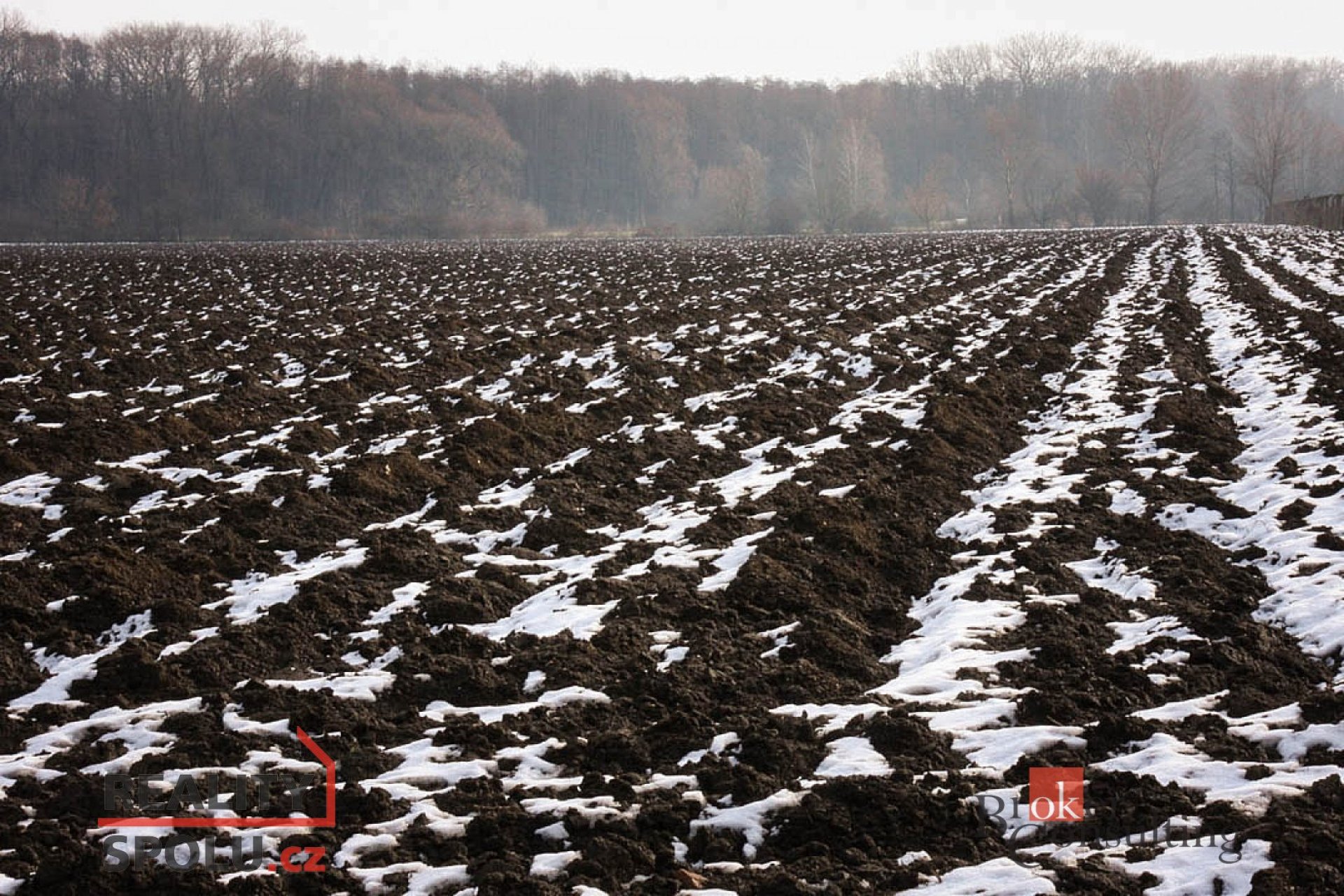 Prodej, pozemky/pole, 46553 m2, Bohdašín  [ID 79413]