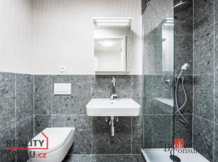 Pronájem bytu, 1+kk, 23 m²