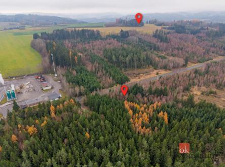 Prodej pozemku, les, 5 425 m²