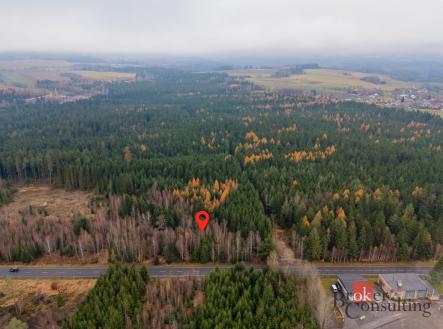 Prodej pozemku, les, 5 425 m²