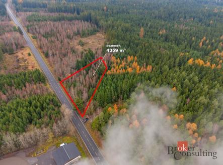 Prodej pozemku, les, 5 425 m²