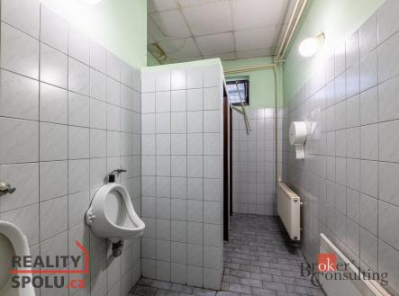 Prodej komerčního objektu, výroba, 6 551 m²