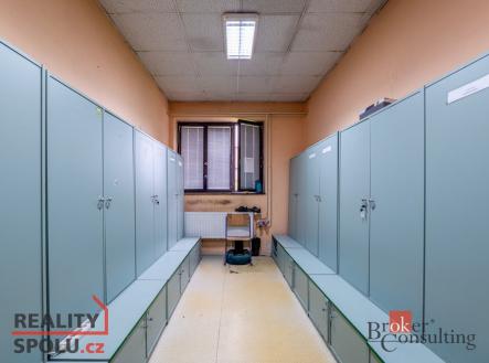 Prodej komerčního objektu, výroba, 6 551 m²