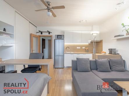 Pronájem bytu, 1+kk, 33 m²