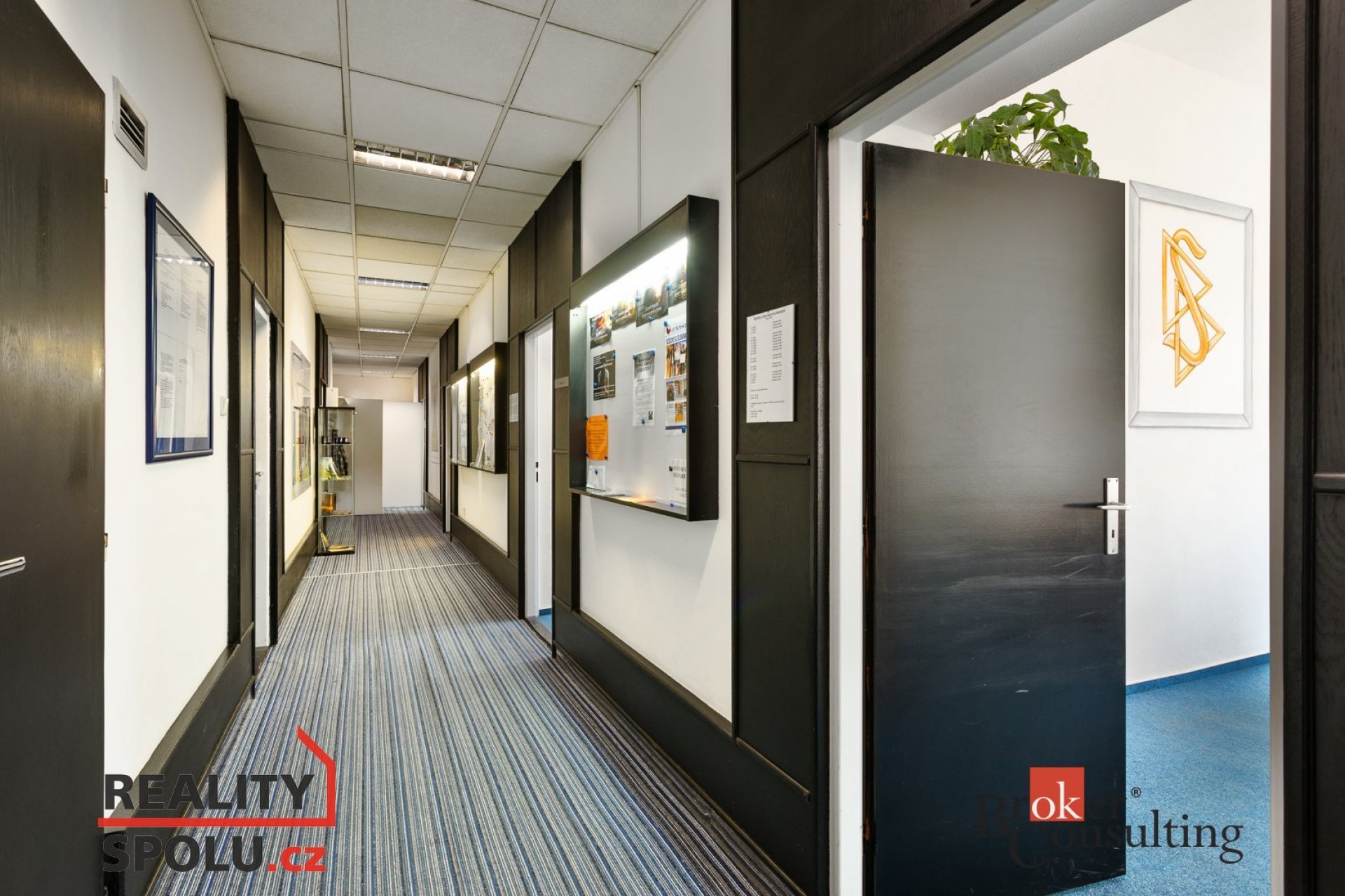 Pronájem, komerční/kanceláře, 24.15 m2, Skrétova 475/8, 30100 Plzeň, Plzeň-město [ID 80100]