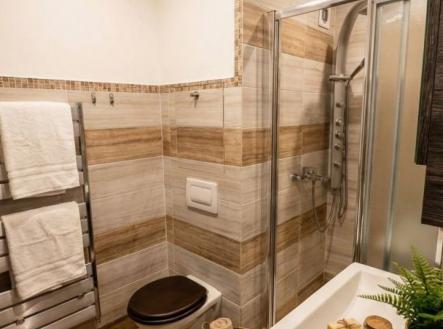 Pronájem bytu, 1+1, 40 m²