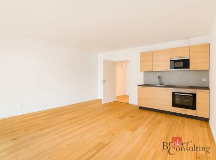 Pronájem bytu, 1+kk, 38 m²