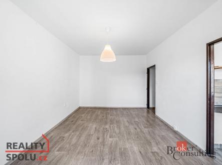 Pronájem bytu, 2+1, 48,83 m²