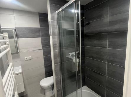 Pronájem bytu, 1+kk, 29 m²