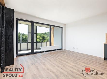 Pronájem bytu, 1+kk, 35 m²