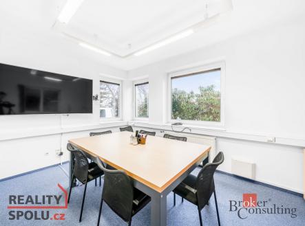 Pronájem domu/vily, 447 m²