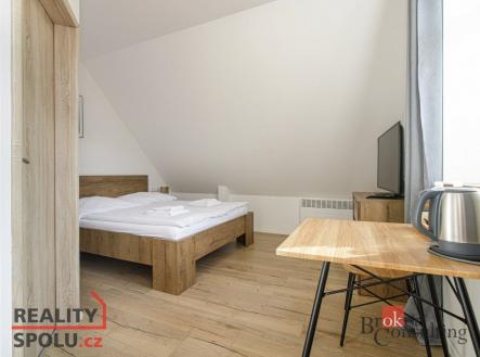 Prodej bytu, 1+kk, 19,88 m²