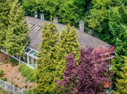 Prodej domu/vily, 450 m²