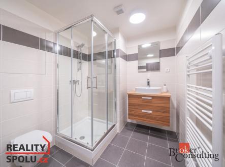 Pronájem bytu, 1+kk, 39 m²