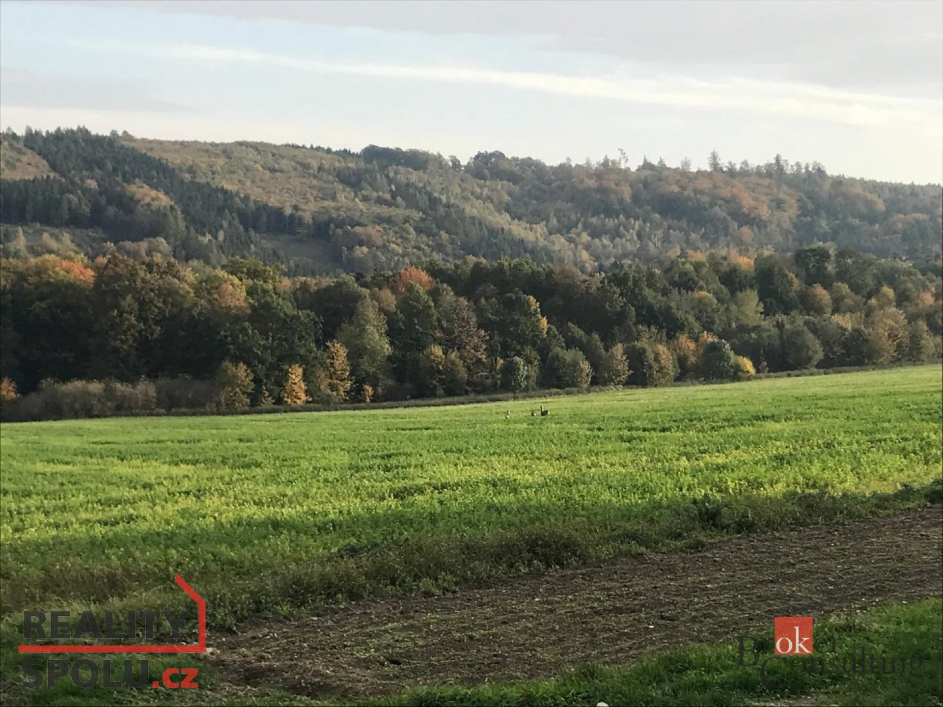 Prodej, pozemky/bydlení, 908 m2, Čavisov, Ostrava-město [ID 80174]