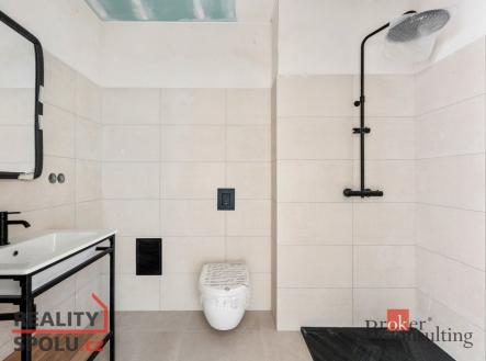 Pronájem bytu, 1+kk, 48,8 m²