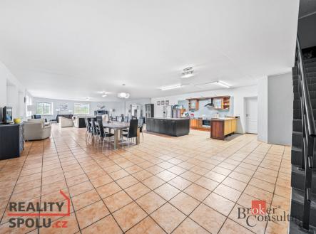 Pronájem domu/vily, 350 m²