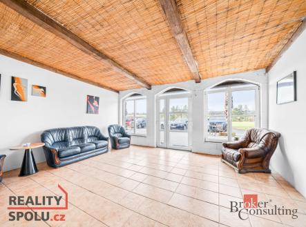 Pronájem domu/vily, 350 m²