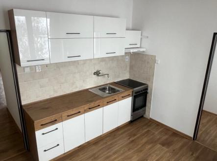 Pronájem bytu, 1+1, 45 m²