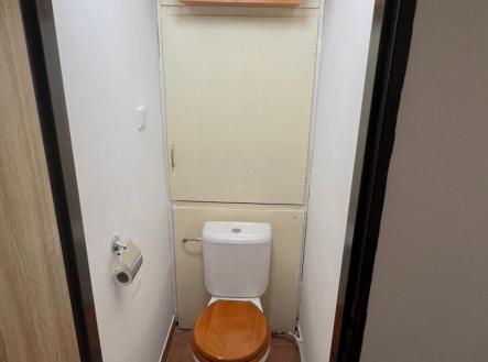 Pronájem bytu, 1+1, 45 m²