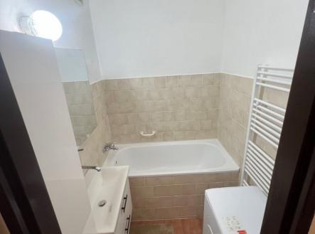 Pronájem bytu, 1+1, 45 m²