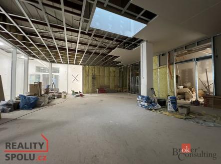 Pronájem komerčního objektu, jiný, 113 m²