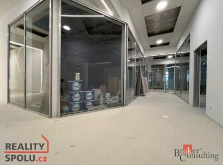 Pronájem komerčního objektu, jiný, 113 m²