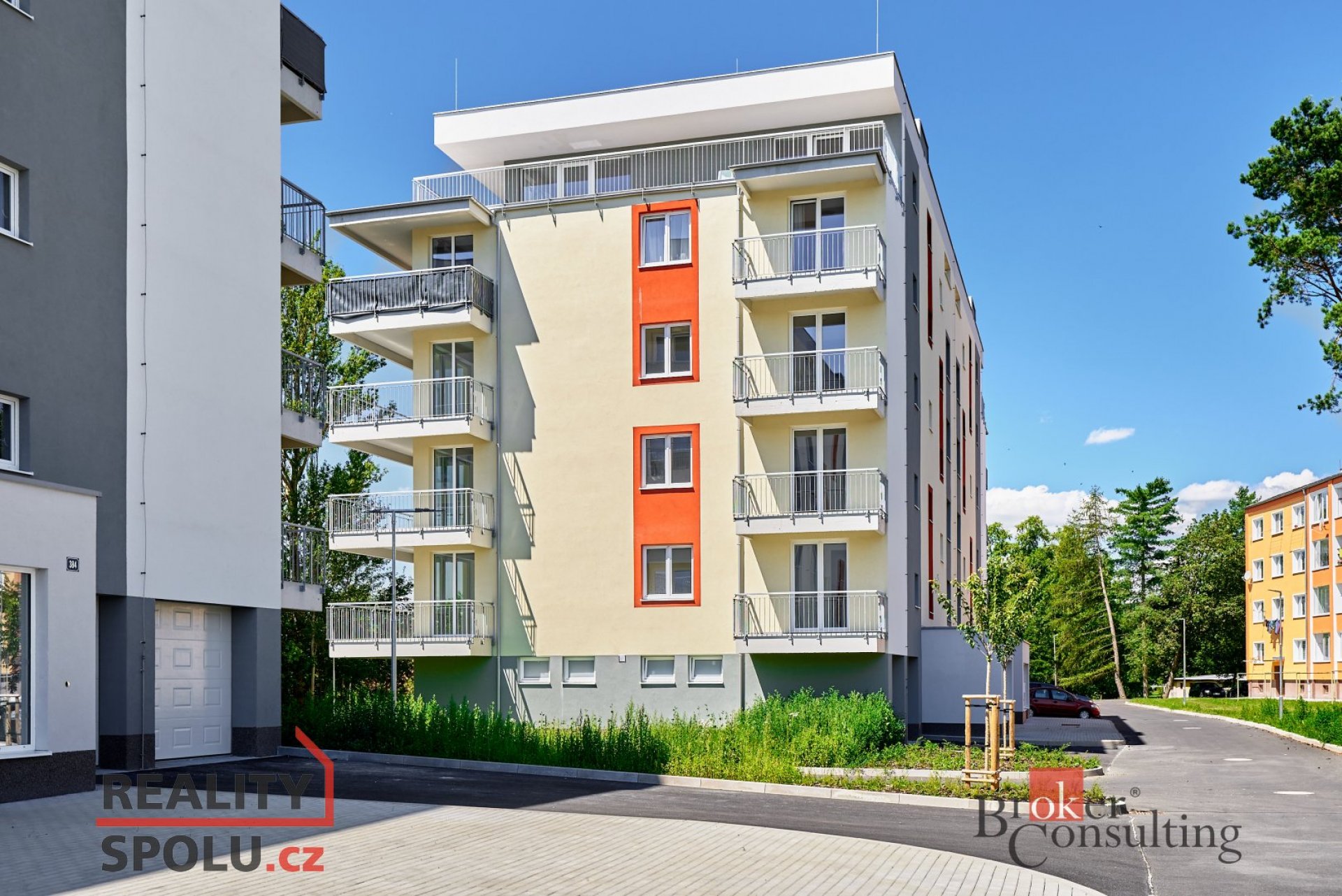 Pronájem v Nové Roli