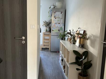 Prodej bytu, 3+1, 67 m²