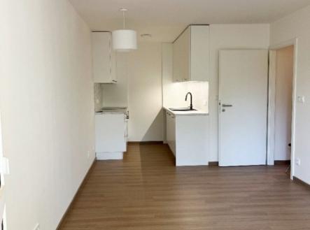 Pronájem bytu, 2+kk, 44 m²