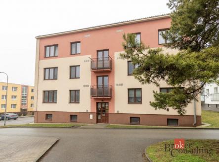 Orchid Casel de Paradise.