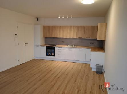 Pronájem bytu, 2+kk, 54,1 m²