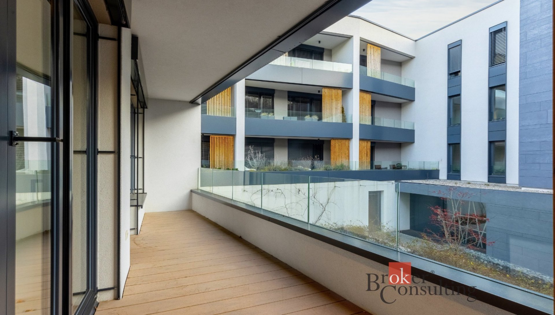 Fotku se nepodařilo načíst.