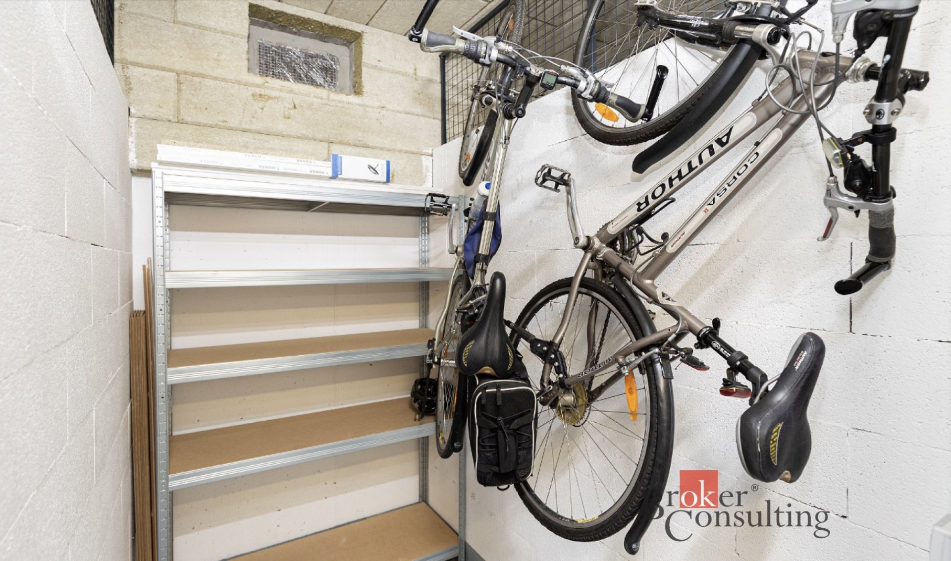 Fotku se nepodařilo načíst.