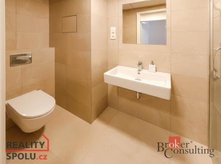 Pronájem bytu, 2+kk, 46,7 m²