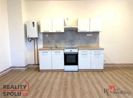 Pronájem bytu, 1+kk, 47 m²