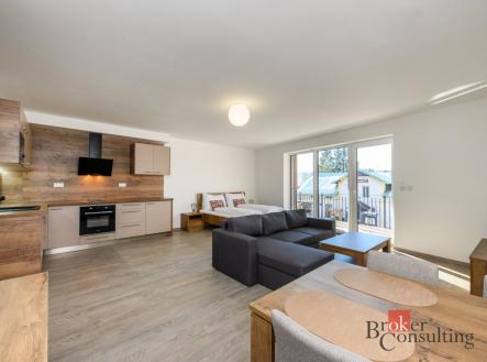 Prodej bytu, 1+kk, 49,4 m²