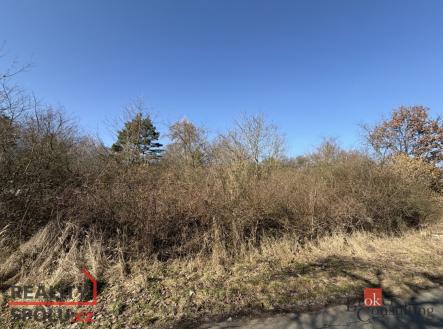 Prodej pozemku, ostatní, 6 289 m²