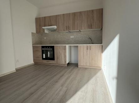 Pronájem bytu, 2+kk, 51 m²