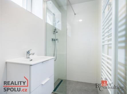 Pronájem bytu, 1+1, 45 m²