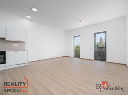 Pronájem bytu, 1+kk, 50 m²