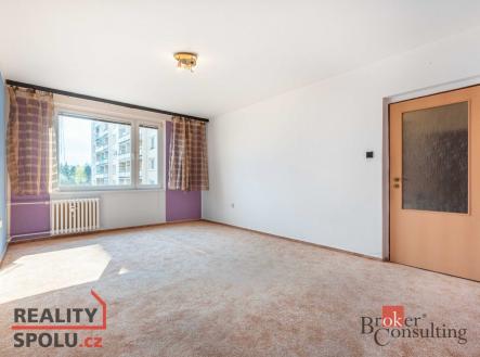 Pronájem bytu, 1+1, 45 m²