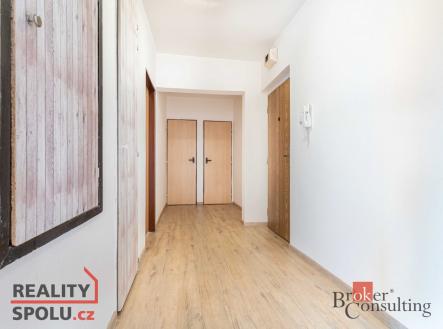 Pronájem bytu, 1+1, 45 m²