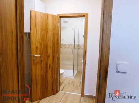 Pronájem bytu, 1+1, 29 m²