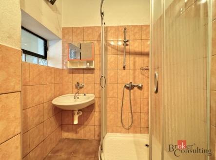 Prodej domu/vily, 300 m²