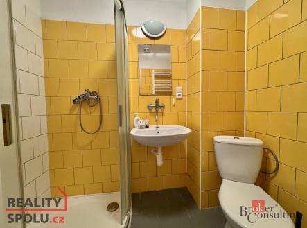 Prodej domu/vily, 260 m²