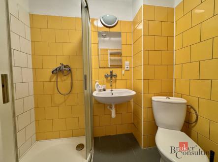 Prodej domu/vily, 260 m²