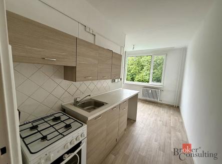 Pronájem bytu, 1+1, 43 m²