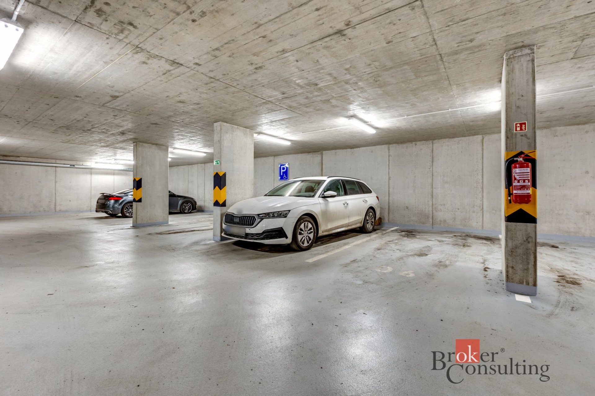 Fotku se nepodařilo načíst.