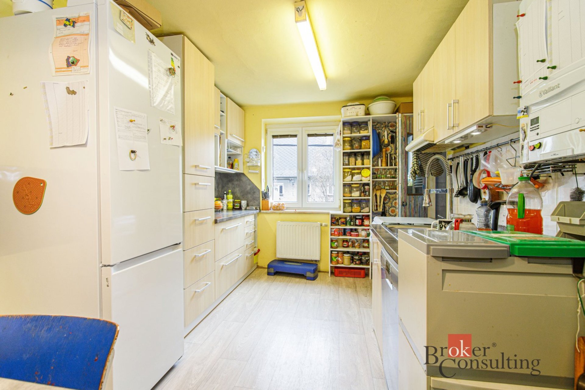 Prodej, byty/4+1, 82 m2, Těšínská 2162/57, Předměstí, 74601 Opava (nečleněná část města) [ID 82326]